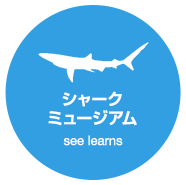 シャークミュージアム